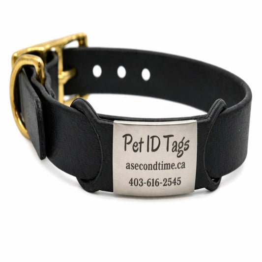 Stainless Steel & Silicone Over The Collar ID Tags - Slide-On Style -    No Jingle • No Dangle • A Safer ID Tag for Your Pet