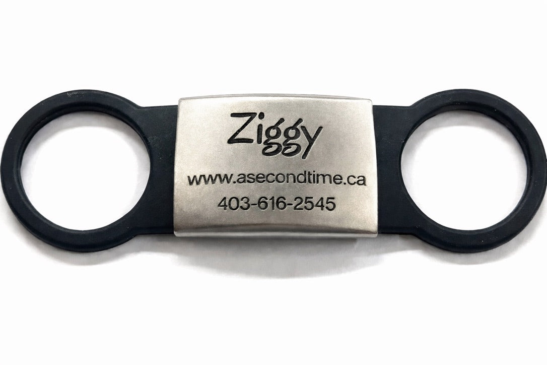 Stainless Steel & Silicone Over The Collar ID Tags - Slide-On Style -    No Jingle • No Dangle • A Safer ID Tag for Your Pet